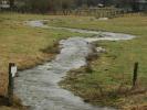 Ru_Wardin-Harzy_5